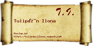 Tulipán Ilona névjegykártya